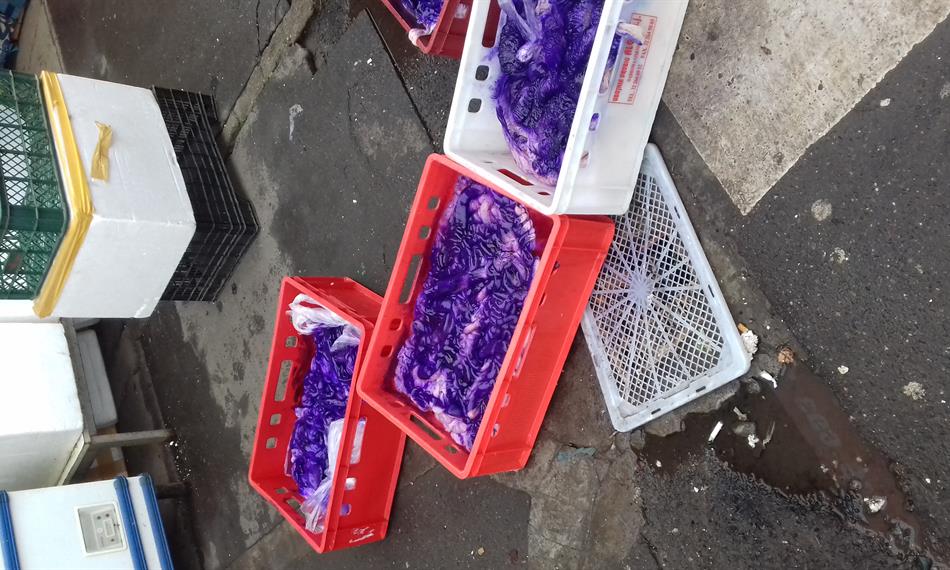 2019-3-20-1128vepřové 5.jpg